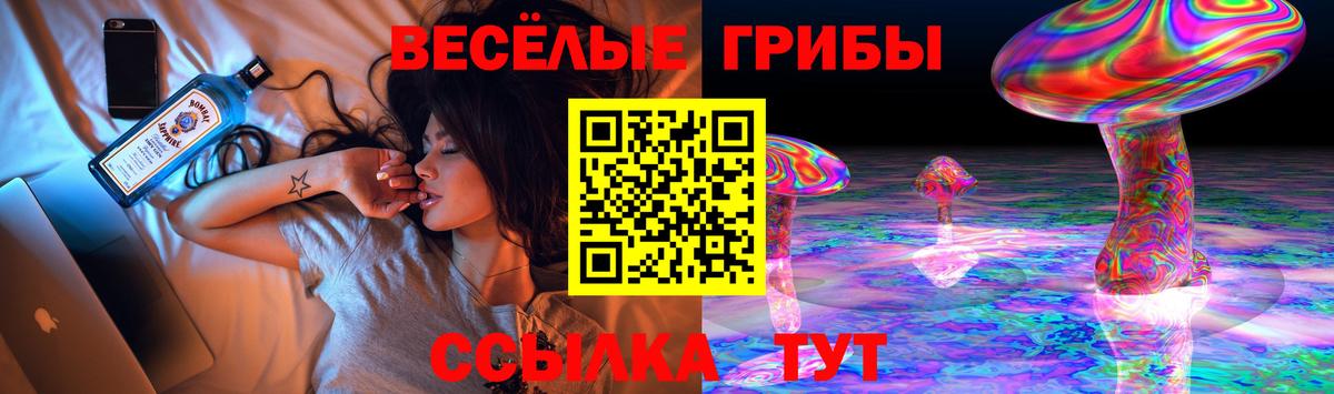 Галлюциногенные грибы Psilocybine cubensis Карпинск